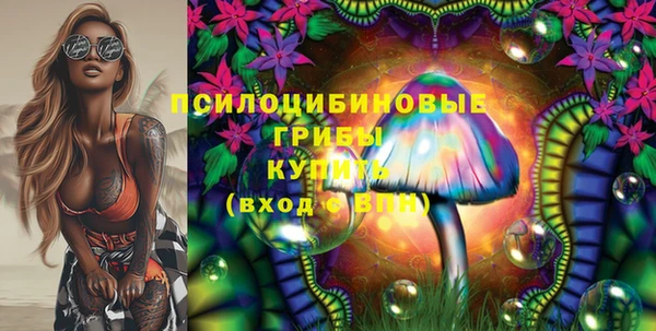 марки lsd Каменка
