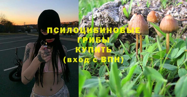 а пвп мука Алзамай