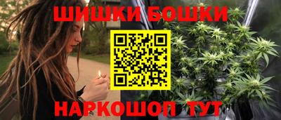 крисы Гатчина
