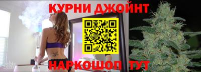 крисы Гатчина