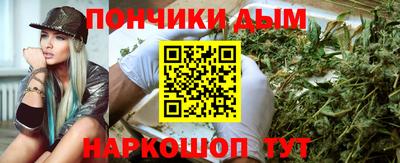 крисы Гатчина