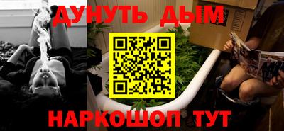 крисы Гатчина