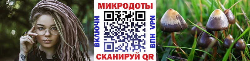 Галлюциногенные грибы прущие грибы  Красноярск 
