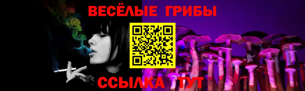 Псилоцибиновые грибы Magic Shrooms  Галлюциногенные грибы Psilocybe  Красноярск  Вход с VPN 